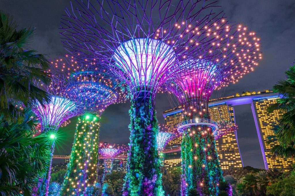 Supertree Grove illuminated at night, Gardens by the Bay, Singapore